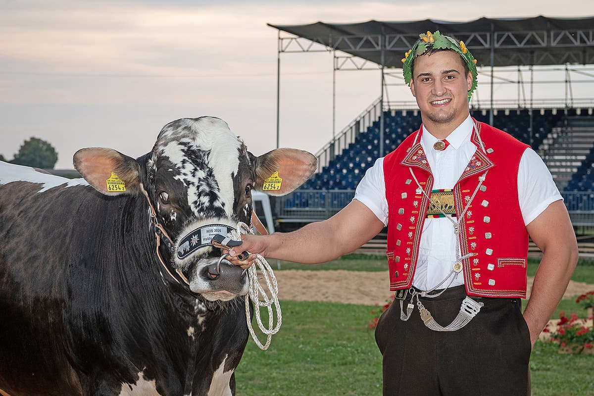  WSSDM Weerner Schlegel.jpg 